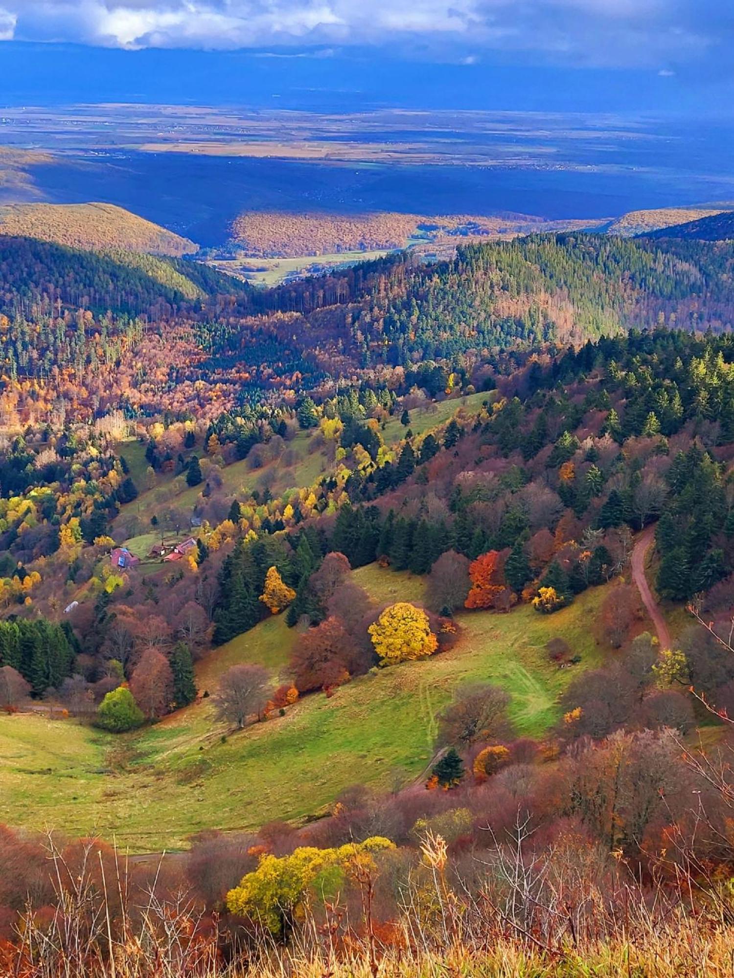 Le Panorama Du Murat Mulhouse Riedisheim 68 Haut-Rhin Alsace Saint-Louis المظهر الخارجي الصورة